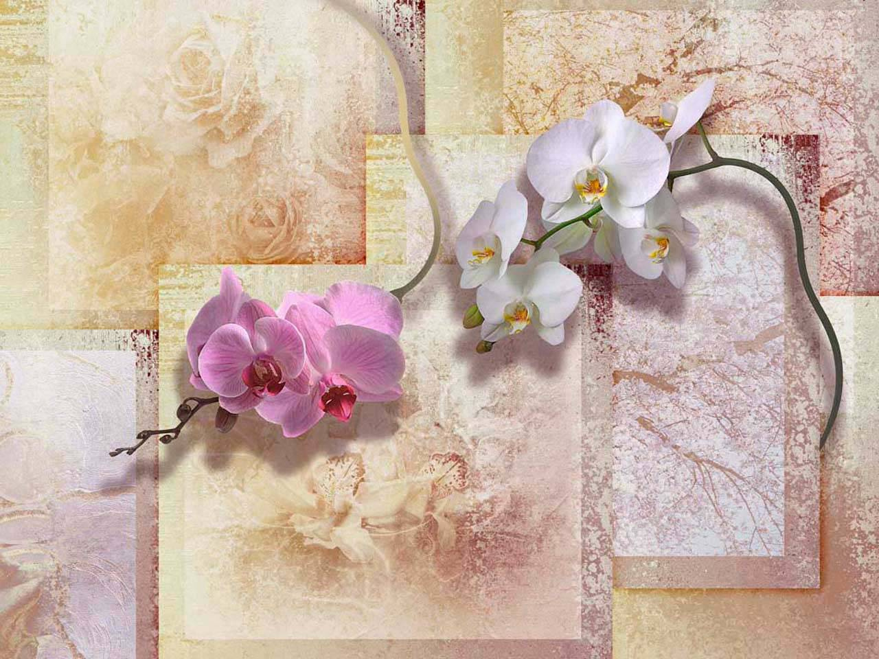 Фотообои 3д орхидеи на фоне панно
